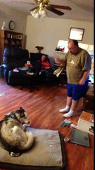 Man argues with his dog because he stole food