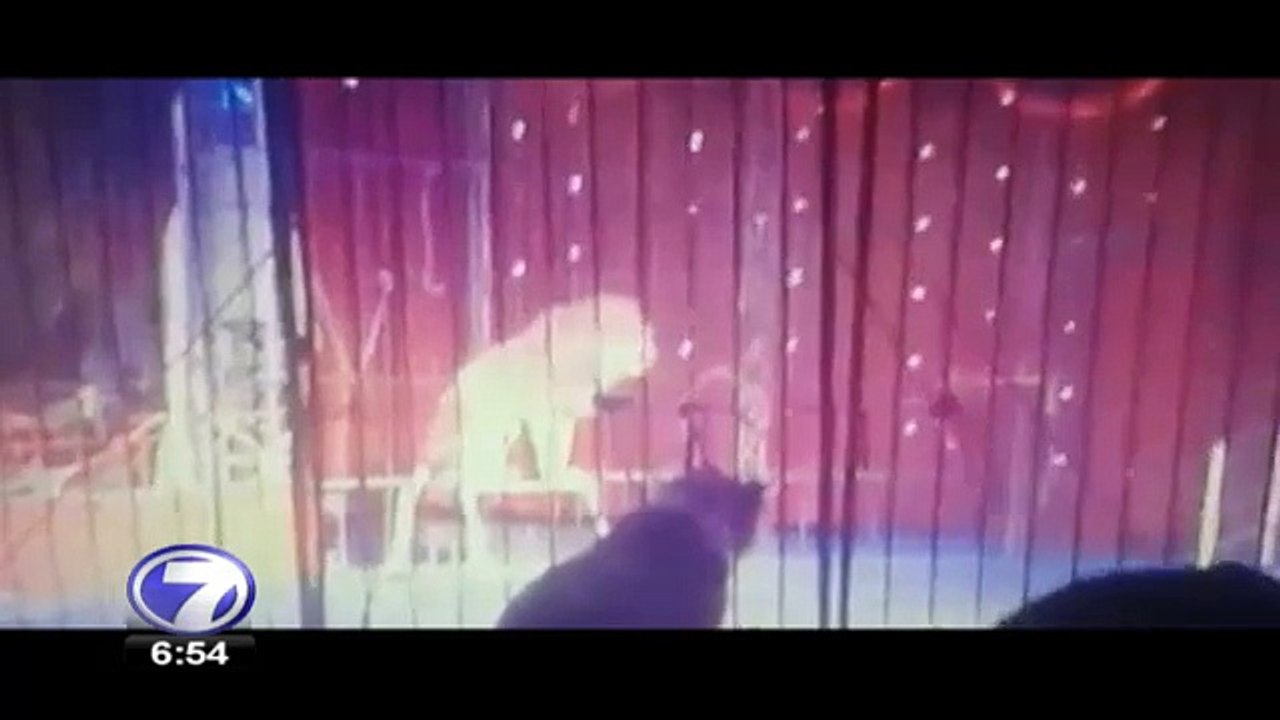 Domadora de leones es atacada durante espectácu...