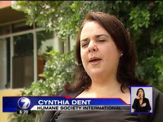 SENASA habilita línea telefónica para denunciar peleas de perros