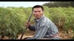 Dich vu quay phim Quang cao | MAO Media – 0988707240 | TVC phân bón Thái Lan