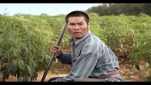 Dich vu quay phim Quang cao | MAO Media – 0988707240 | TVC phân bón Thái Lan
