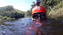 Marcelo Ambrogi, Natureza Indômita, Rio Paraibuna, Mergulhos Sub-aquáticos, Onças, Aranhas, Peixes, Serra do Mar, (29)