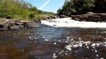 Marcelo Ambrogi, Natureza Indômita, Rio Paraibuna, Mergulhos Sub-aquáticos, Onças, Aranhas, Peixes, Serra do Mar, (21)