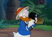 Donald Duck - Donalds Camera 1941