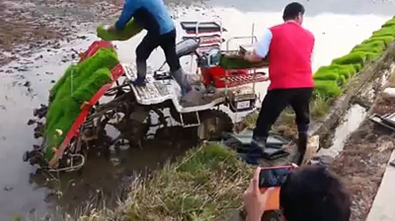 Amaizing Farming