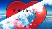 Chawki ft. Pitbull _ Do - Habibi I Love You (Lyric Video) - YouTube