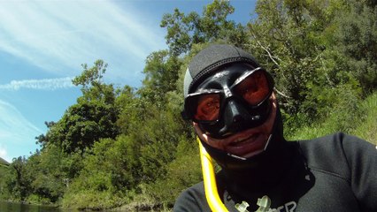 Marcelo Ambrogi, Natureza Indômita, Rio Paraibuna, Mergulhos Sub-aquáticos, Onças, Aranhas, Peixes, Serra do Mar, (59)