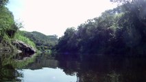 Marcelo Ambrogi, Natureza Indômita, Rio Paraibuna, Mergulhos Sub-aquáticos, Onças, Aranhas, Peixes, Serra do Mar, (61)