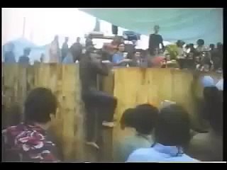 Joe Cocker _Lets go get stoned_