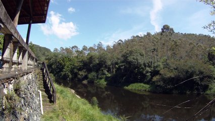 Marcelo Ambrogi, Natureza Indômita, Rio Paraibuna, Mergulhos Sub-aquáticos, Onças, Aranhas, Peixes, Serra do Mar, (75)