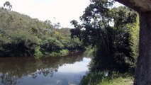 Marcelo Ambrogi, Natureza Indômita, Rio Paraibuna, Mergulhos Sub-aquáticos, Onças, Aranhas, Peixes, Serra do Mar, (81)