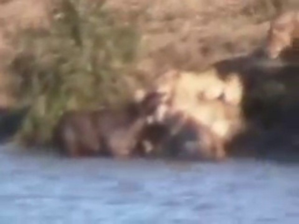 Battle at Kruger