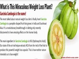 Pure Garcinia Cambogia Extract by Dr. Oz