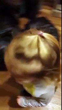 Baby Funny Talking to Parents With Explanation