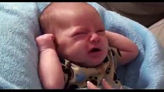 Funny baby Funny Videos Funny CatsFunny Babies Laughing Compilation 2015