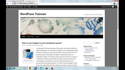 WordPress in Urdu Lesson 12