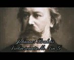 Brahms - Violin Sonata No. 1, first mov.