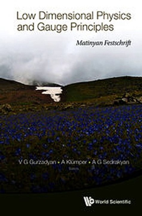 Download Low Dimensional Physics and Gauge Principles ebook {PDF} {EPUB}