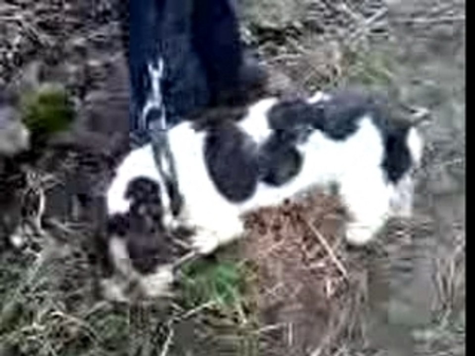 mamie elle fait du tracteur ca sent bon