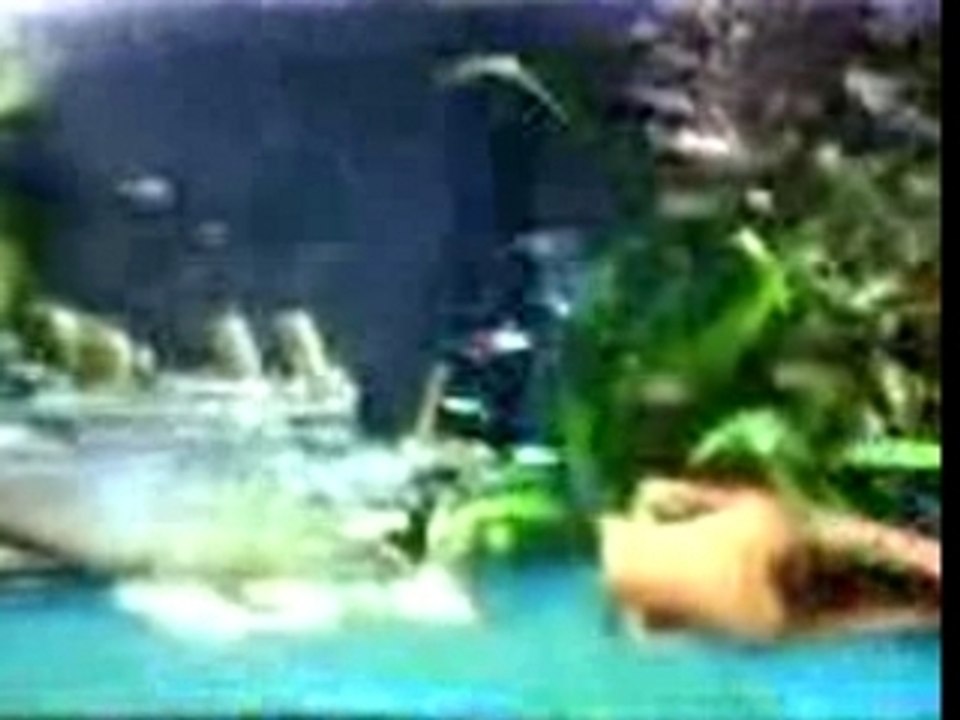aquarium