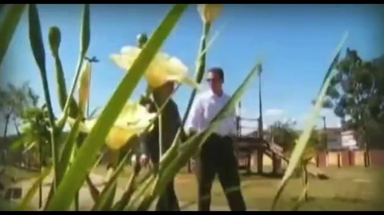 SÁBADO