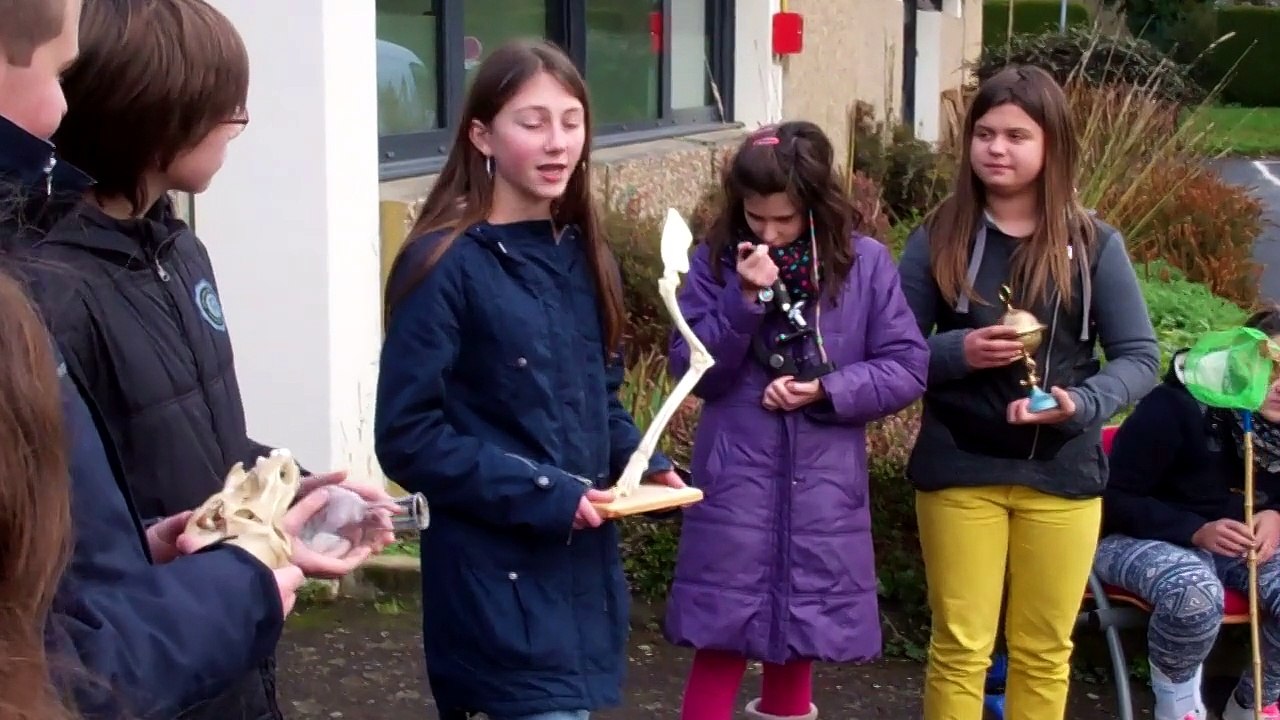 Qu'est-ce-qui est petit, vert, qui monte et qui descend ?