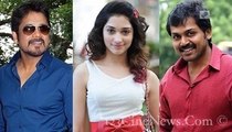 Tamanna replace Sruthi in Nagarjuna  and Karthi movie  - 123 Cine news - Tamil Cinema News