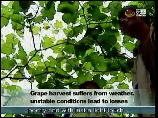 宏觀英語新聞Macroview TV《Inside Taiwan》English News 2015-03-28