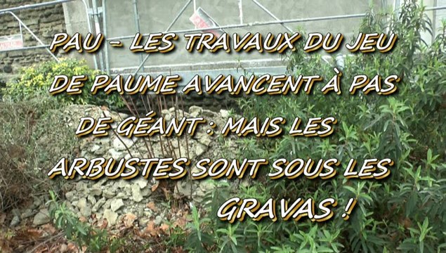 PAU - 28 MARS 2015 - LES TRAVAUX DU JEU DE PAUME AVANCENT À PAS DE GÉANT MAIS LES ARBUSTES EN SOUFFRENT..