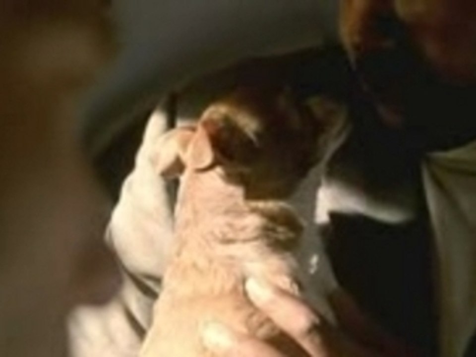 BMW - The Hire - Hostage