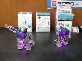 Dance Robot Performance #1