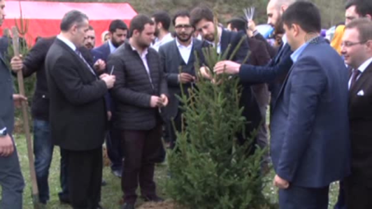 Mısır'da Haklarında İdam Kararı Verilen 183 Müslüman İçin Fidan Dikimi