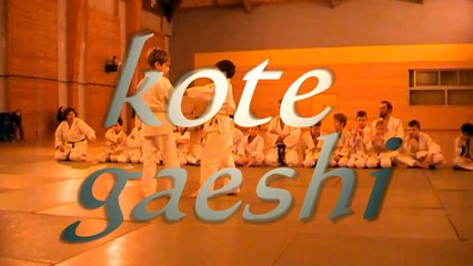 AIKI SOMBERNON COURS ENFANTS  fev 2015