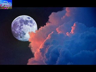 ALPONA PAROMA BANDOPADHYAY