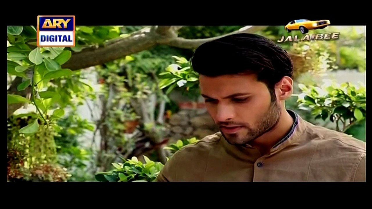 Dil Nahi Manta Episode 20 full on Ary Digital 28 March 2015