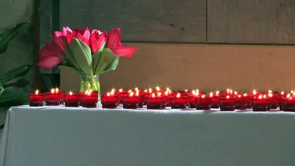 Remembrance ceremony for A320 crash victims