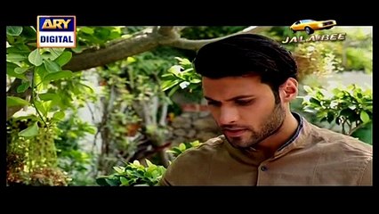 Dil Nahi Manta Episode 20 By Ary Digital - Single Link