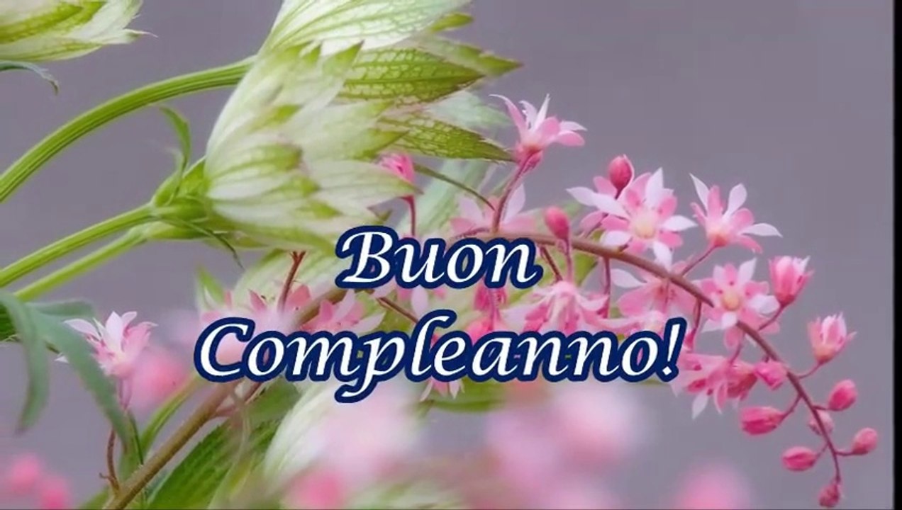 Tanti Auguri di buon Compleanno!