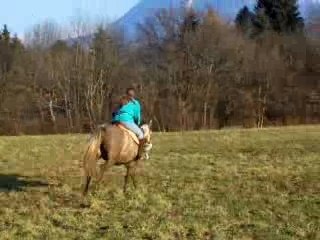 Galop !