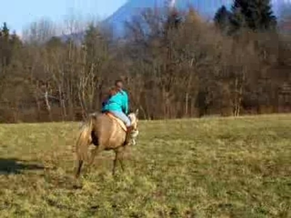 Galop !
