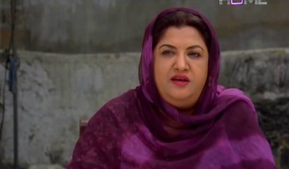 Googly Mohalla Episode 35 Full on PTV Home