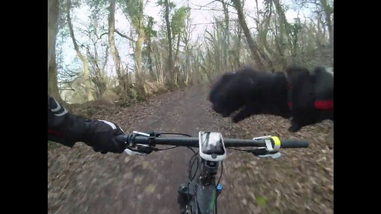 VTT Vivegnis 01-03-2015