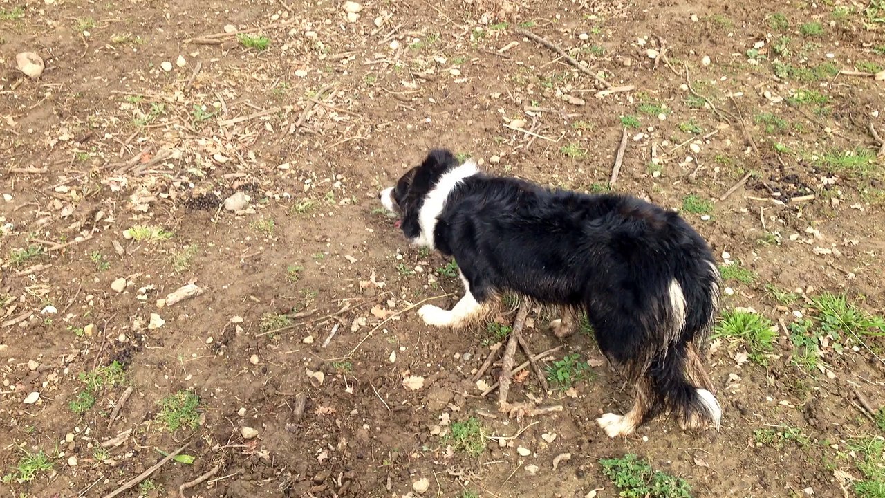 H'eve du blues des alpages 3