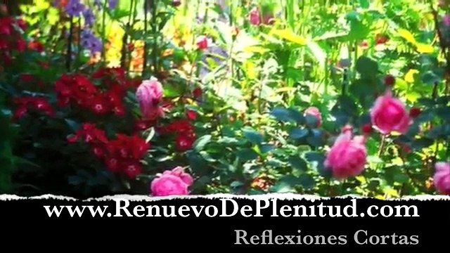 Reflexiones - Autoestima - potencial - Videos Cristianos
