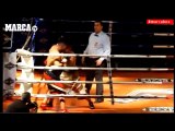 Highlight L'aventure Espagnole Lion Garrido 2015