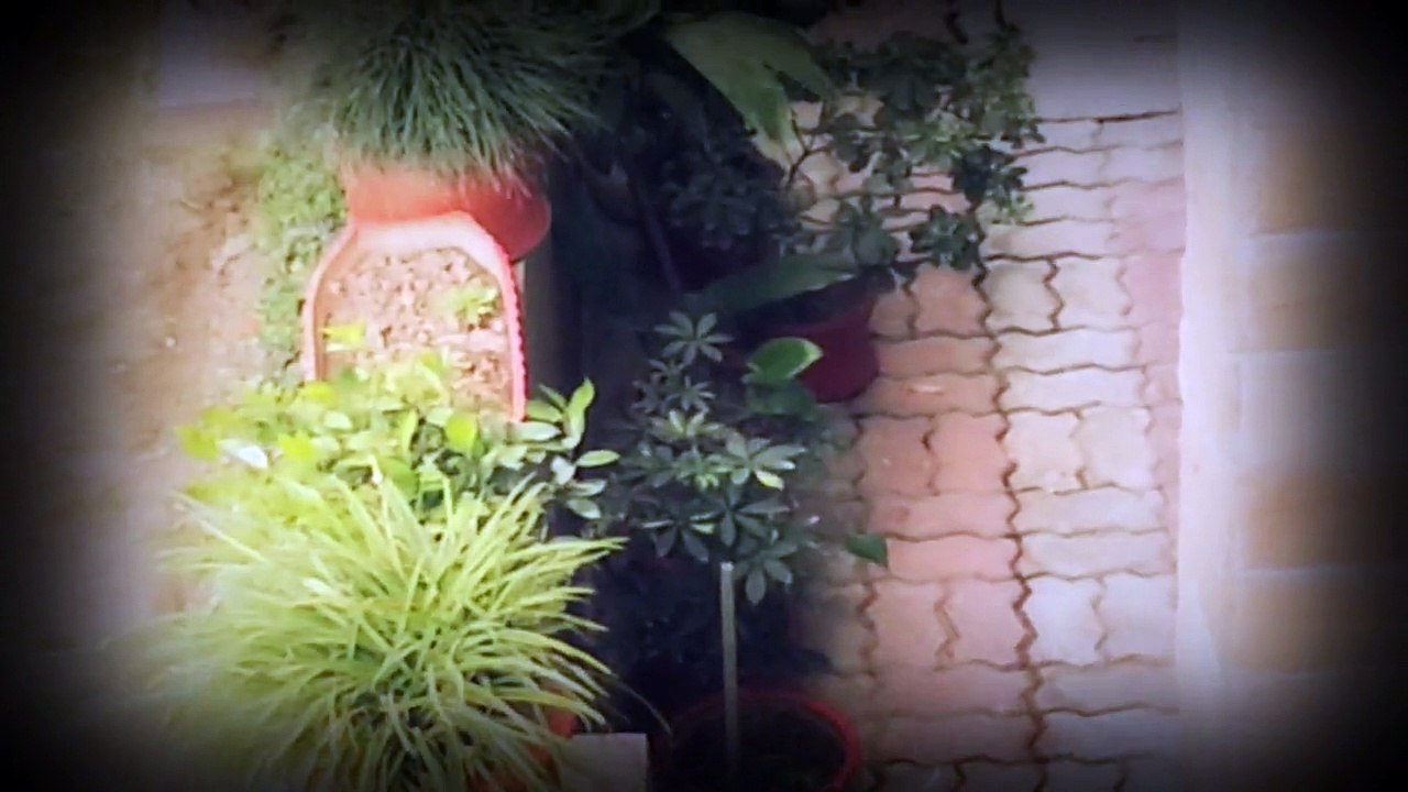 vlog2:جولة صغيرة في الحي _اسلام اباد