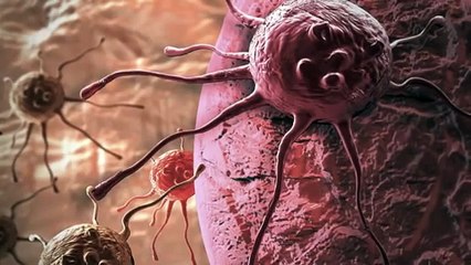 25 Unsolved Scientific Mysteries That Will Leave You Scratching Your Head