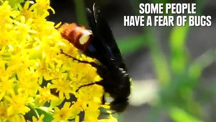 Why You Should Not Be Afraid