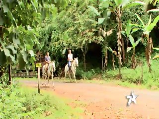 ¿Ya sabe dónde turistear?