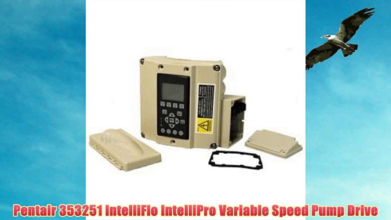 Pentair 353251 IntelliFlo IntelliPro Variable Speed Pump Drive